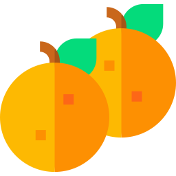 Orange icon