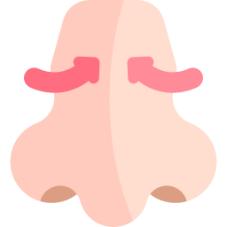 Rhinoplasty icon