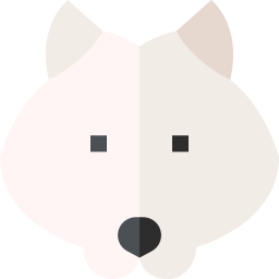 Samoyed icon