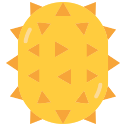 Kiwano icon