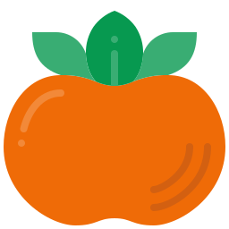 Persimmon icon