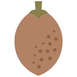 sapota icona