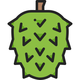 soursop icon