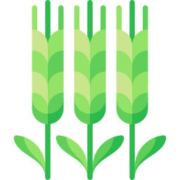 Barley icon