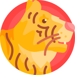 tiger icon