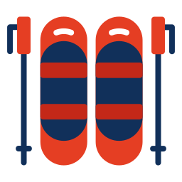 ski stöcke icon