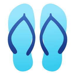 flip flops icon