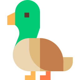 ente icon