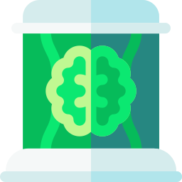 Brain icon