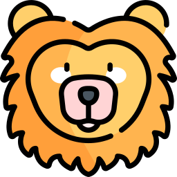 Lion icon