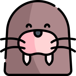 Walrus icon