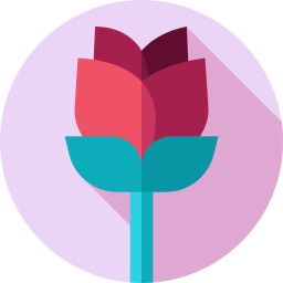 rose icon