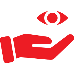 vision icon