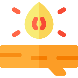 Bonfire icon