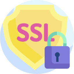 ssl icon