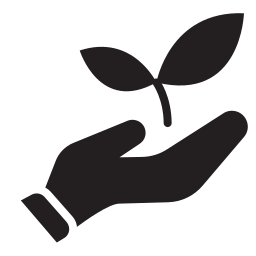 Plant leaf icon