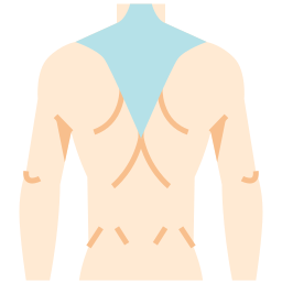 trapezius icon