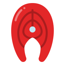 Salmon icon