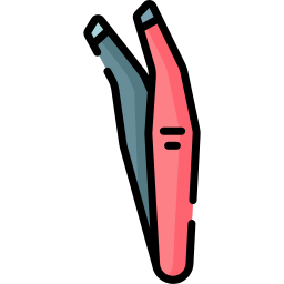 pinzette icon