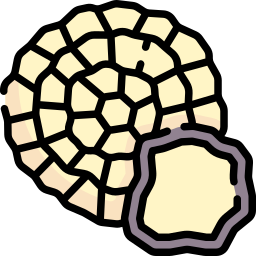 Truffle icon