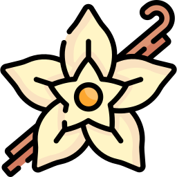 Vanilla icon