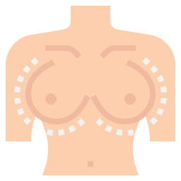 réduction mammaire Icône