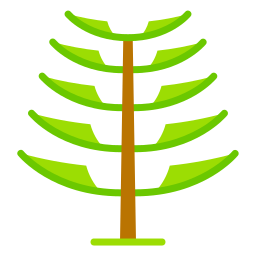 Araucaria tree icon