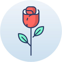 rote rose icon