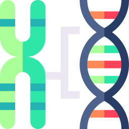 chromosome Icône