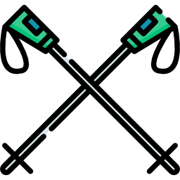 Ski poles icon