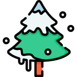 Fir icon