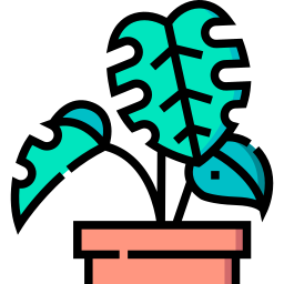 Monstera icon