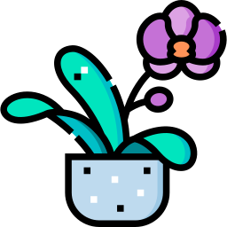 Orchid icon