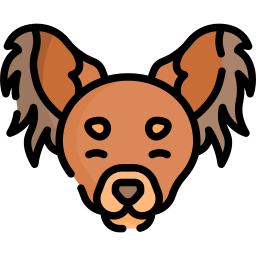 englischer toy-terrier icon