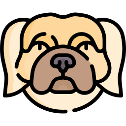 Pekingese icon