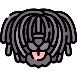 puli icon