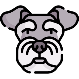 zwergschnauzer icon