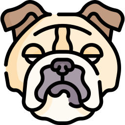 bulldogge icon