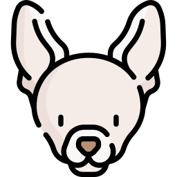 Chihuahua icon