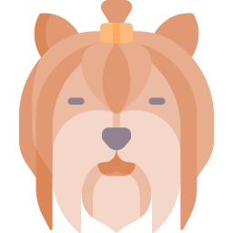 yorkshire-terrier icon