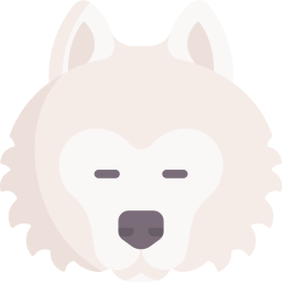 Samoyed icon