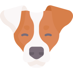 jack russell terrier icon