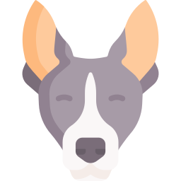 basenji Ícone