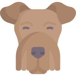 airedale-terrier icon