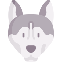 Alaskan malamute icon