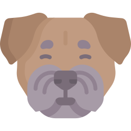 grenzterrier icon