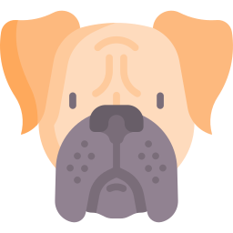 boxer icon