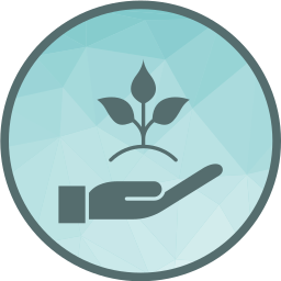 Sapling icon