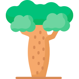 baobab icon