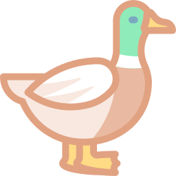 ente icon